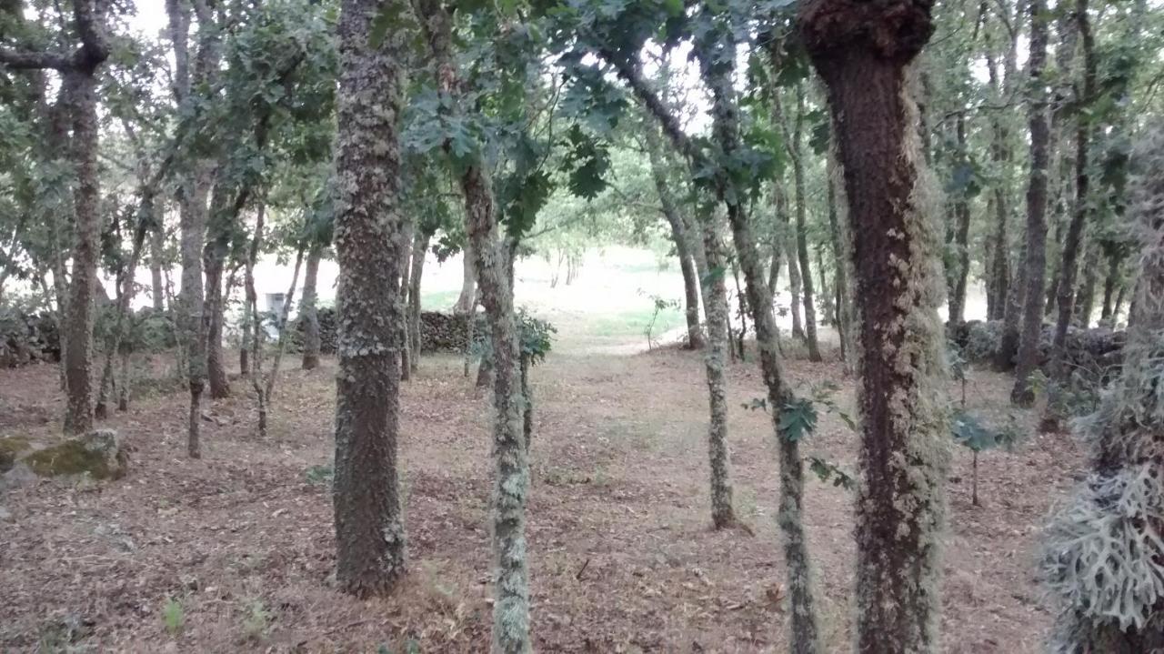 Las Casitas De Las Arribes Hotell Aldeadávila de la Ribera Eksteriør bilde